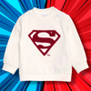 Superman Embroided Sweatshirt 13424