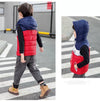 Red Blue Sleeveless Hooded Puffer Jacket 9747