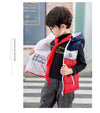 Red Blue Sleeveless Hooded Puffer Jacket 9747