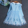 Frozen Sky Fancy Frock 11801