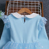 Frozen Sky Fancy Frock 11801