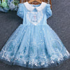 Frozen Sky Fancy Frock 11801