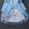 Frozen Sky Fancy Frock 11801