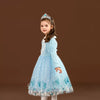 Frozen Sky Fancy Frock 11801