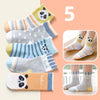 Panda Character 5 Cotton Socks Pack 4716