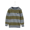 VRB Dinosaur Green Grey Stripes Sweater 9011